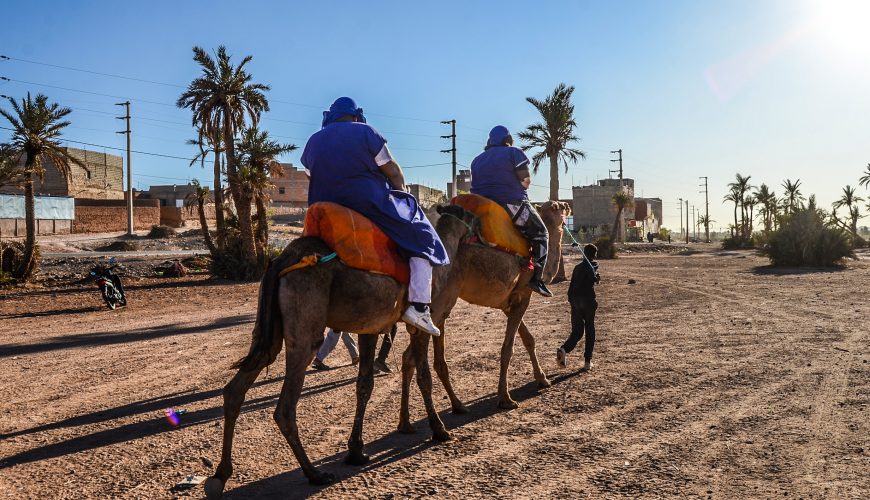 Tour Dromadaire Desert Agafay