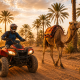 Special Offer: Quad Biking & Camel Riding In Palm Grove