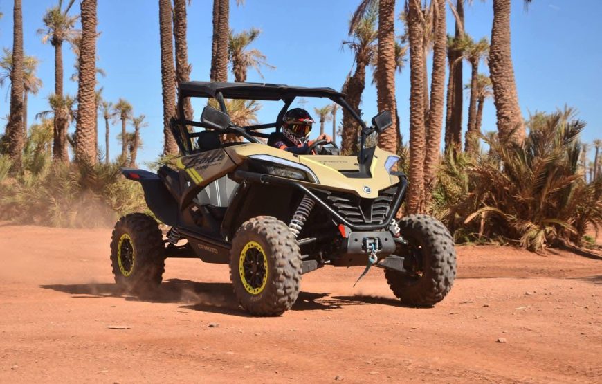 Tour Buggy 1000cc In Palm Oasis