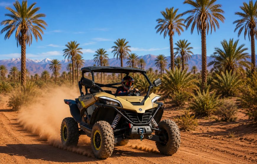 Tour Buggy 1000cc In Palm Oasis