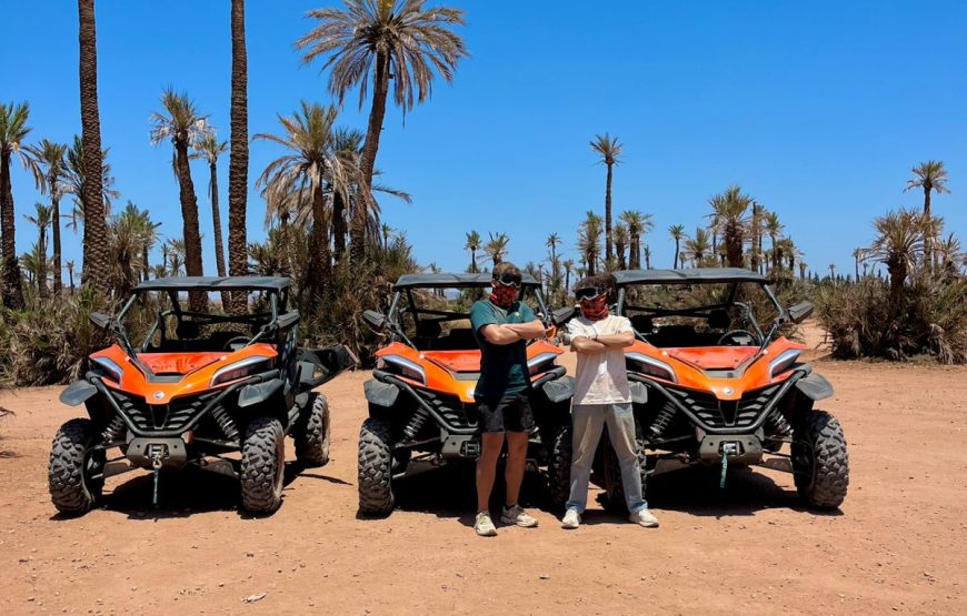 Tour Buggy 1000cc In Palm Oasis
