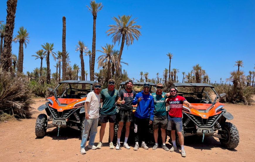 Tour Buggy 1000cc In Palm Oasis