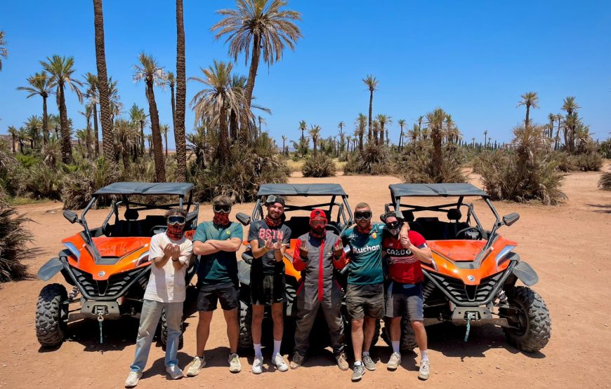 Tour Buggy 1000cc In Palm Oasis