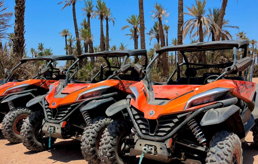 Tour Buggy 1000cc In Palm Oasis