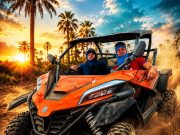 Half Day Tour Buggy 1000cc In Palm Oasis