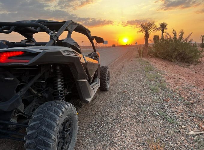 𝙏𝙤𝙪𝙧 𝘽𝙪𝙜𝙜𝙮 𝙋𝙖𝙡𝙢𝙚𝙧𝙖𝙞𝙚𝙨 𝙈𝙖𝙧𝙧𝙖𝙠𝙚𝙘𝙝