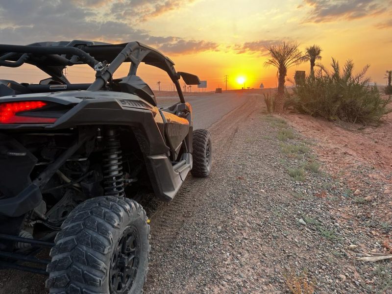 𝙏𝙤𝙪𝙧 𝘽𝙪𝙜𝙜𝙮 𝙋𝙖𝙡𝙢𝙚𝙧𝙖𝙞𝙚𝙨 𝙈𝙖𝙧𝙧𝙖𝙠𝙚𝙘𝙝