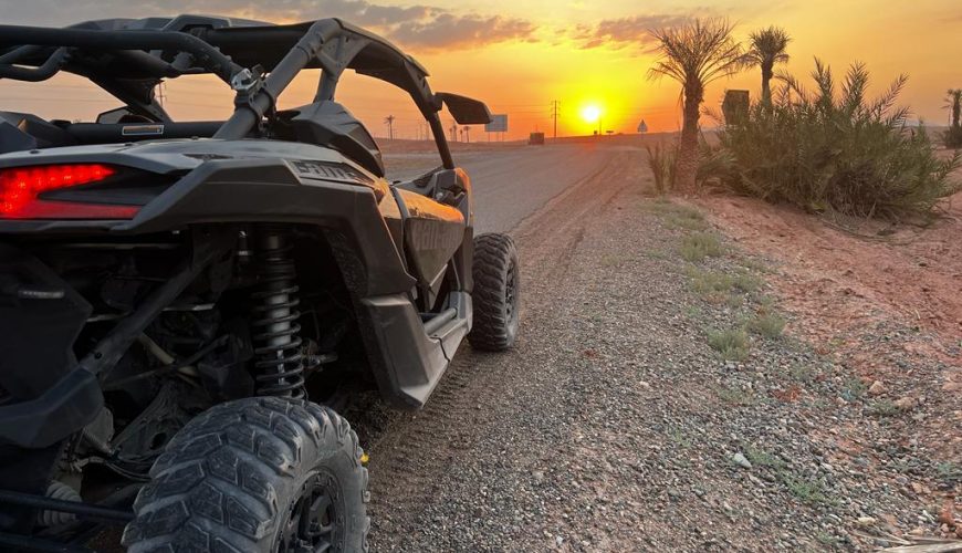 𝙏𝙤𝙪𝙧 𝘽𝙪𝙜𝙜𝙮 𝙋𝙖𝙡𝙢𝙚𝙧𝙖𝙞𝙚𝙨 𝙈𝙖𝙧𝙧𝙖𝙠𝙚𝙘𝙝