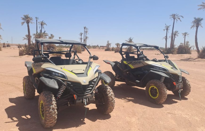 𝙏𝙤𝙪𝙧 𝘽𝙪𝙜𝙜𝙮 𝙋𝙖𝙡𝙢𝙚𝙧𝙖𝙞𝙚𝙨 𝙈𝙖𝙧𝙧𝙖𝙠𝙚𝙘𝙝