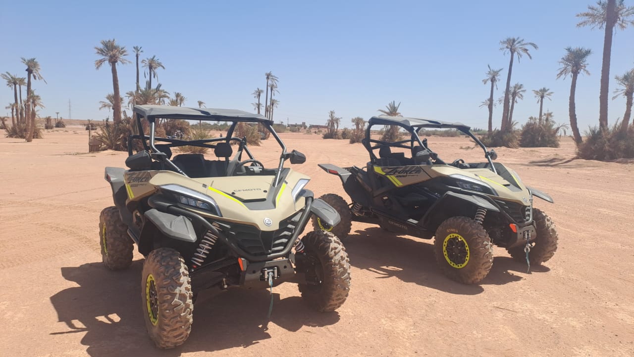 WhatsApp Image 2025-09-30 at 22.10.48 (1)