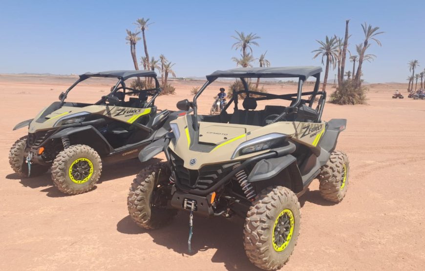 𝙏𝙤𝙪𝙧 𝘽𝙪𝙜𝙜𝙮 𝙋𝙖𝙡𝙢𝙚𝙧𝙖𝙞𝙚𝙨 𝙈𝙖𝙧𝙧𝙖𝙠𝙚𝙘𝙝